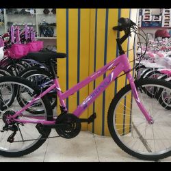 MTB-24-PINK