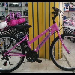 MTB-24-PINK2